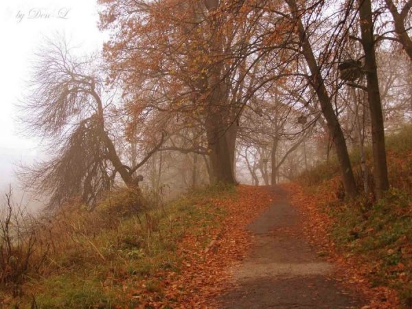 Фотовиставка Дениса Лобентовича